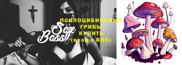 шишки Балабаново